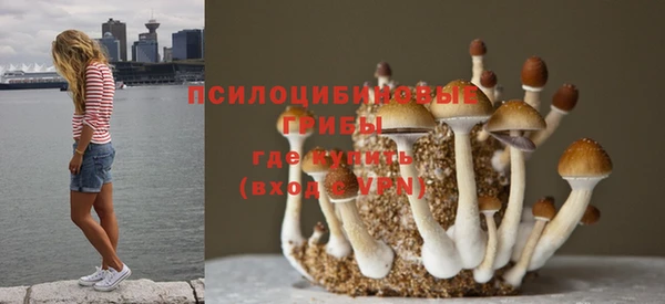 шишки Абинск