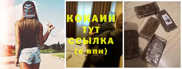 шишки Абинск
