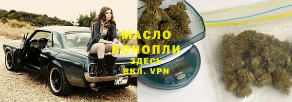шишки Абинск