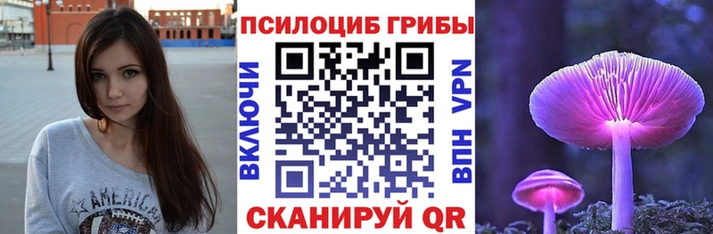 Псилоцибиновые грибы MAGIC MUSHROOMS  даркнет сайт  Темников 