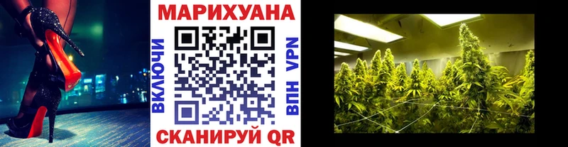 купить наркотики цена  Темников  Бошки Шишки конопля 